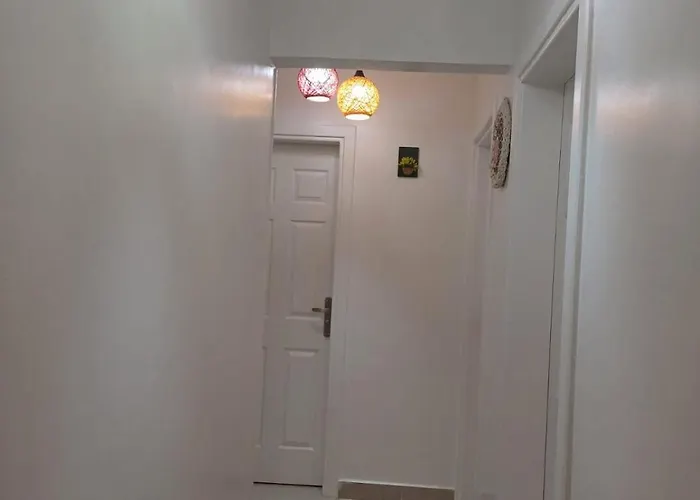 بلومار السخنة *